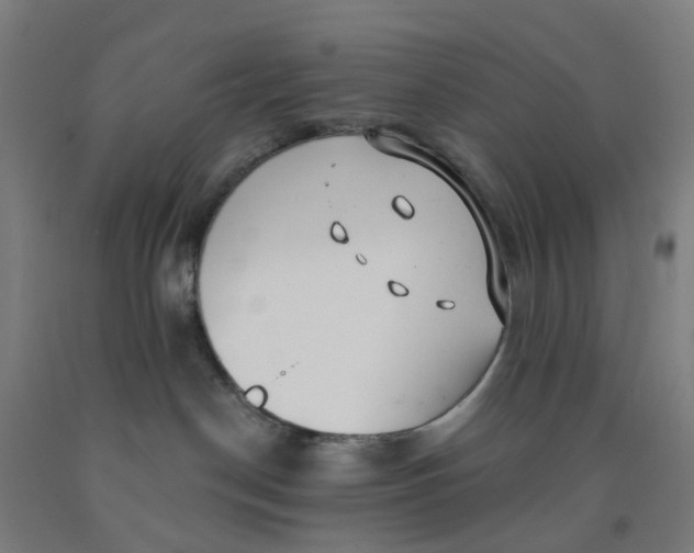 X0000091970190200709271414