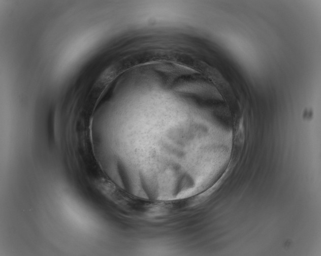 X0000091970191200709271414