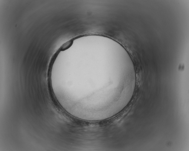 X0000091970196200709271414