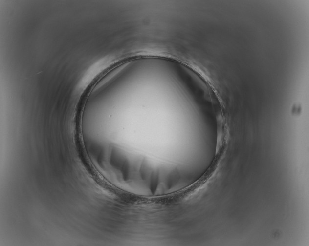 X0000091970199200709271414