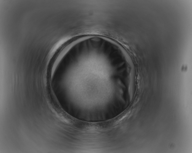 X0000091970200200709271414