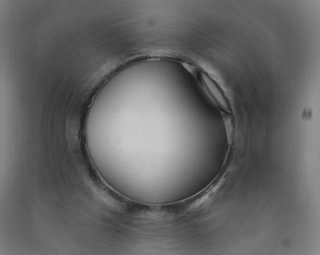 X0000091970201200709271414