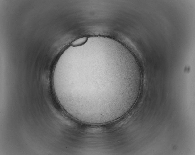 X0000091970202200709271414