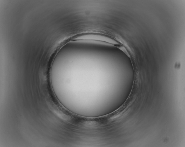 X0000091970203200709271414