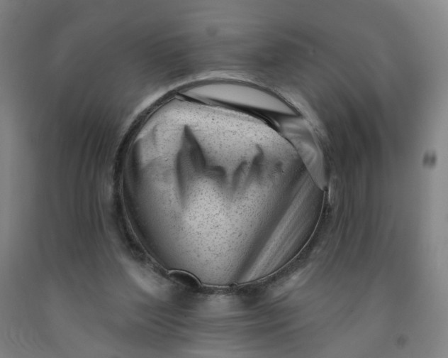X0000091970204200709271414