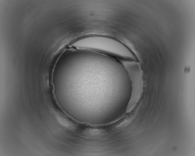 X0000091970205200709271414