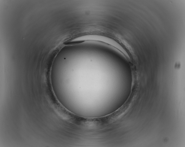 X0000091970209200709271414