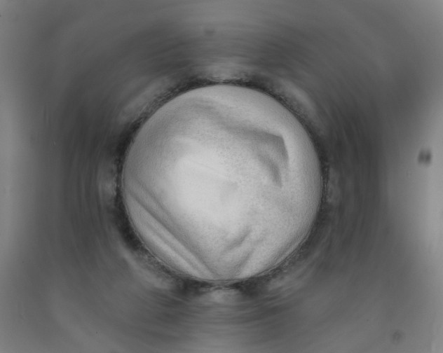 X0000091970210200709271413