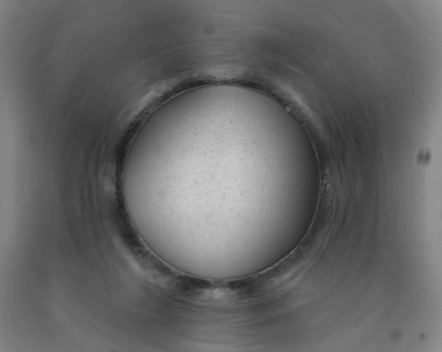 X0000091970212200709271413