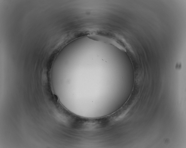 X0000091970213200709271413