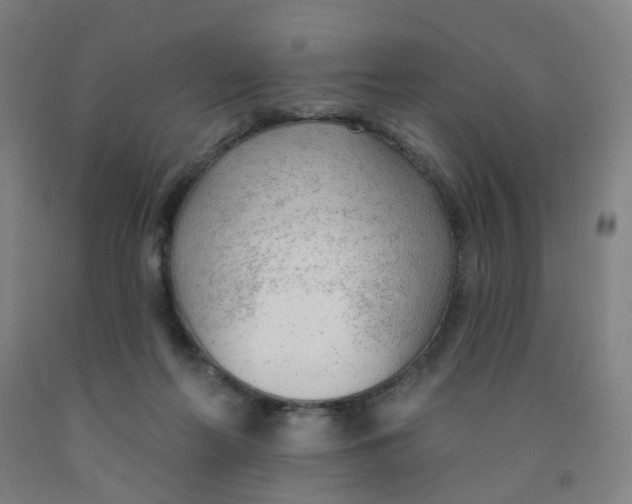 X0000091970214200709271413