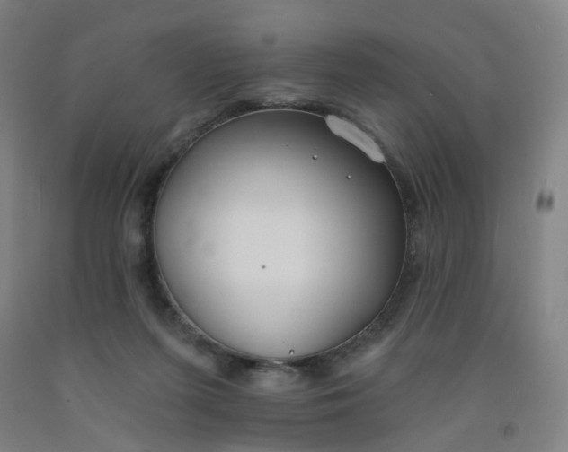 X0000091970215200709271413