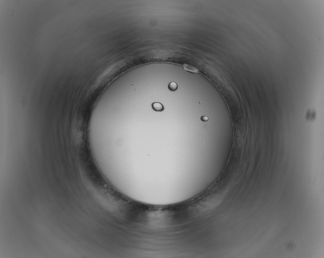 X0000091970216200709271413
