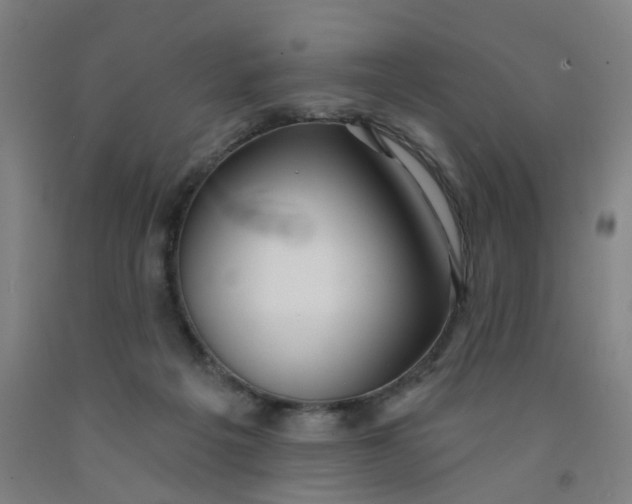 X0000091970217200709271413