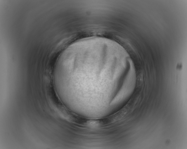 X0000091970218200709271413