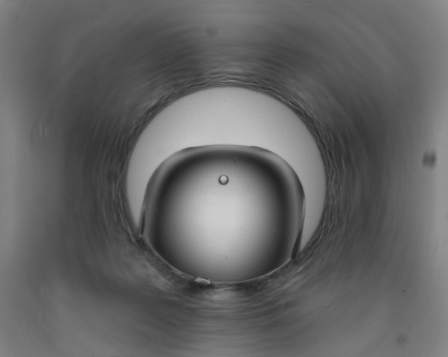 X0000091970219200709271413