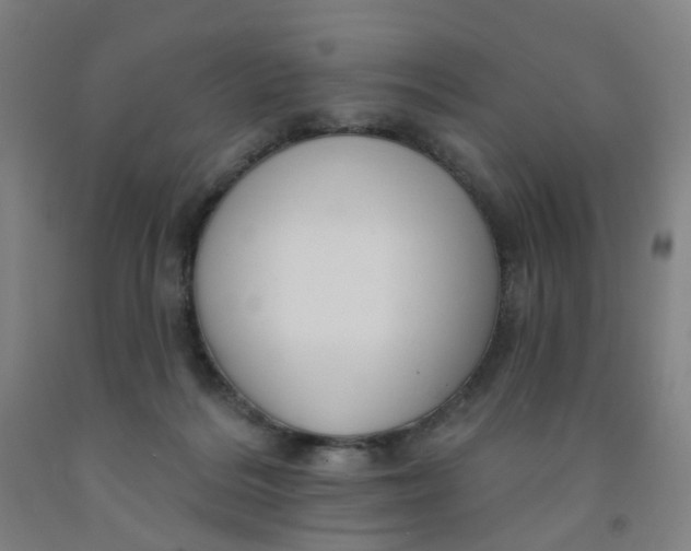 X0000091970220200709271413