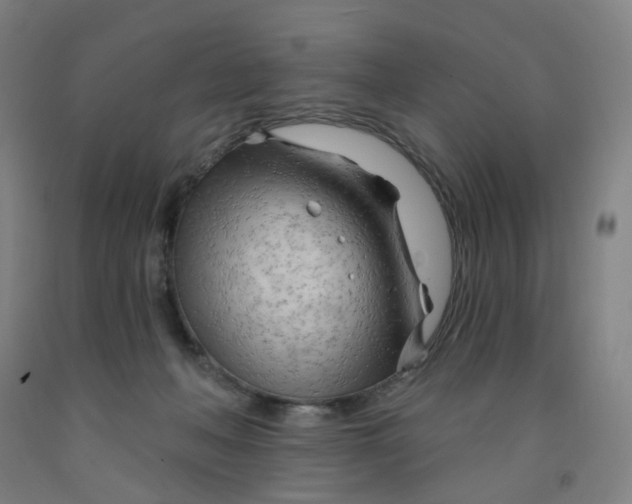 X0000091970222200709271413