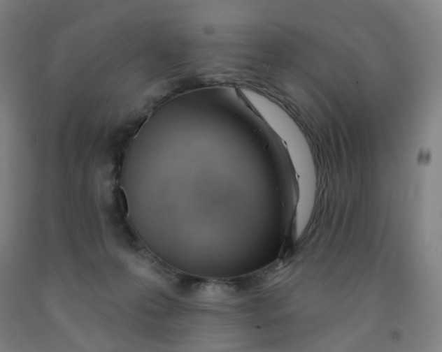 X0000091970223200709271413