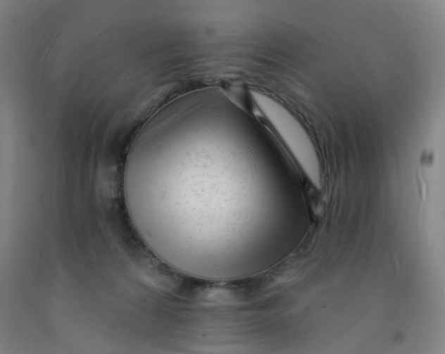 X0000091970224200709271413