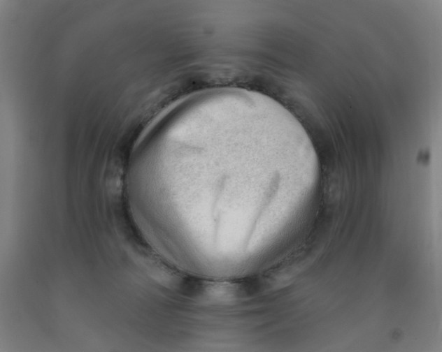 X0000091970226200709271413