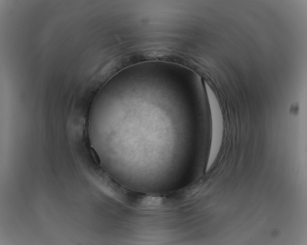 X0000091970227200709271413