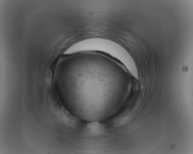 X0000091970231200709271413