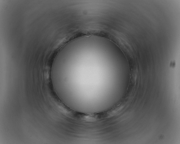 X0000091970232200709271413
