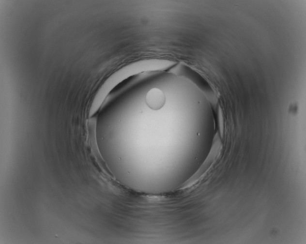 X0000091970233200709271413