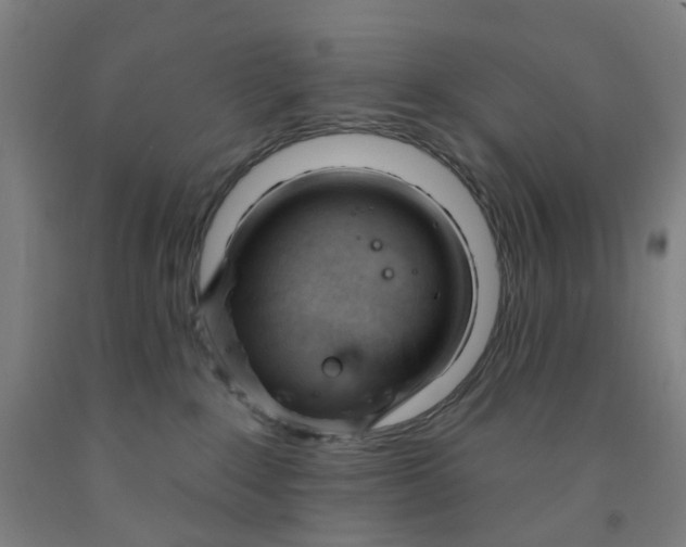 X0000091970235200709271413