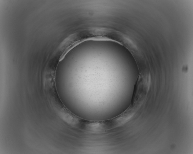 X0000091970237200709271413