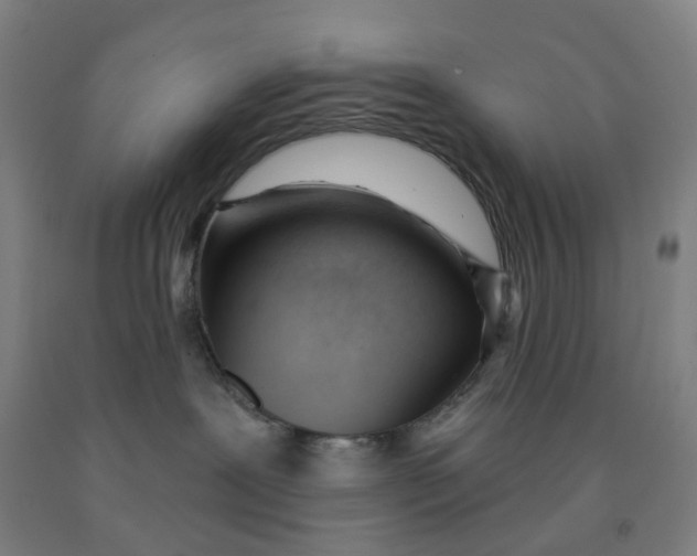 X0000091970239200709271413