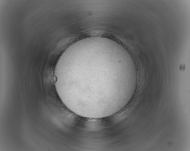 X0000091970240200709271413