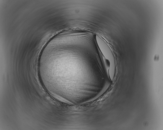 X0000091970241200709271413