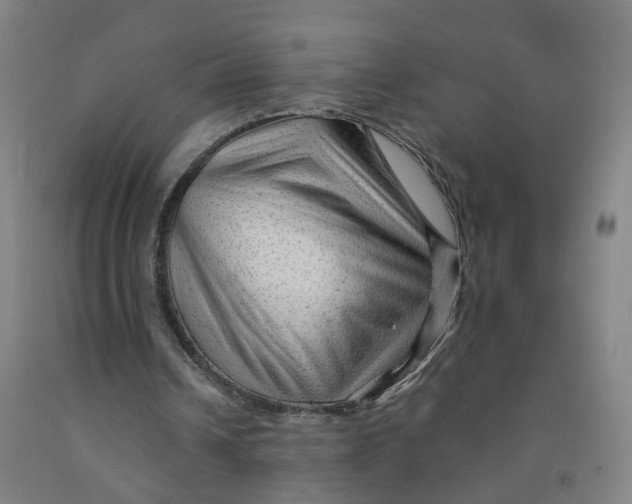 X0000091970242200709271413