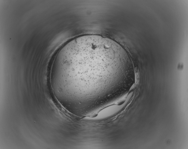 X0000091970243200709271413