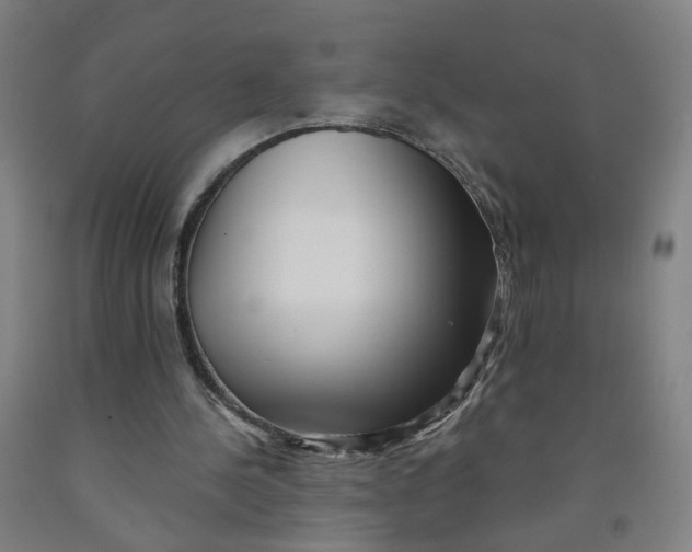 X0000091970244200709271413