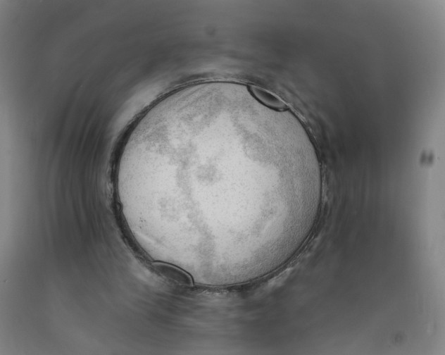 X0000091970245200709271413