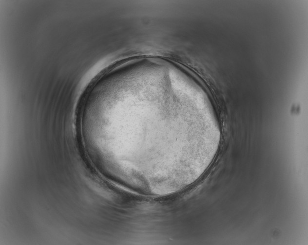 X0000091970246200709271413