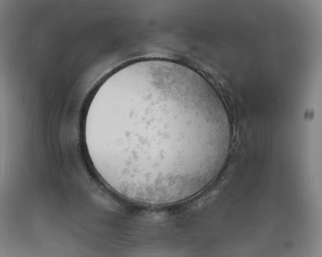 X0000091970247200709271413