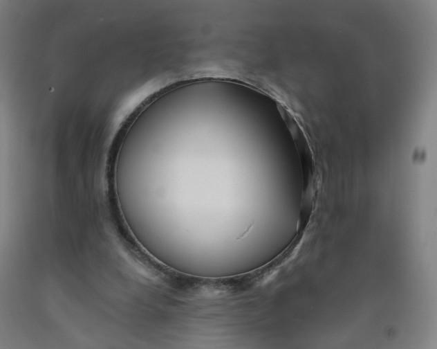 X0000091970248200709271413