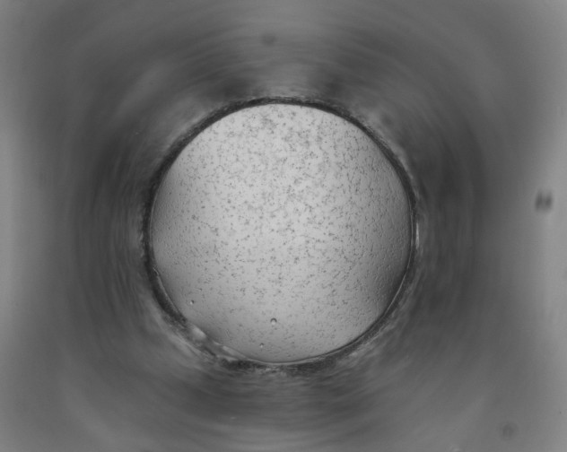 X0000091970249200709271413