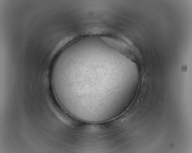 X0000091970250200709271413