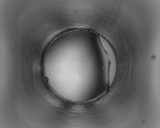 X0000091970252200709271413