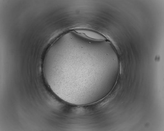 X0000091970253200709271413