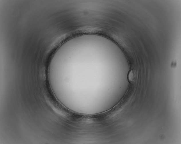 X0000091970254200709271413