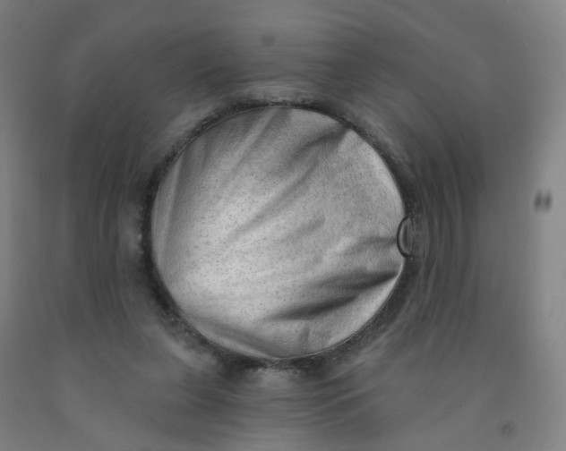X0000091970255200709271413