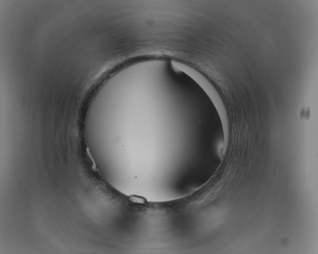 X0000091970256200709271413