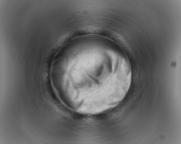 X0000091970259200709271413