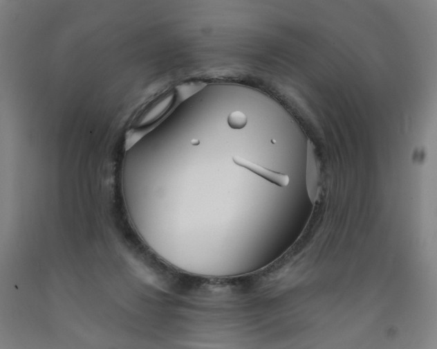 X0000091970260200709271413